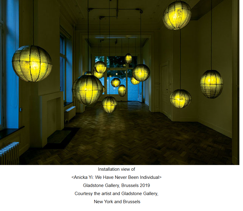 아니카 이 작품