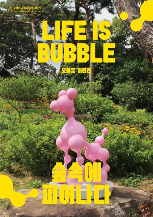 LIFE IS BUBBLE : 숲속에 피어나다