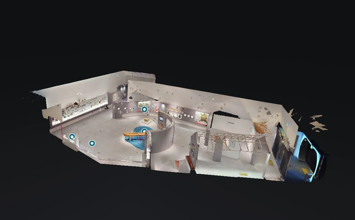 돌과 나무의 시대