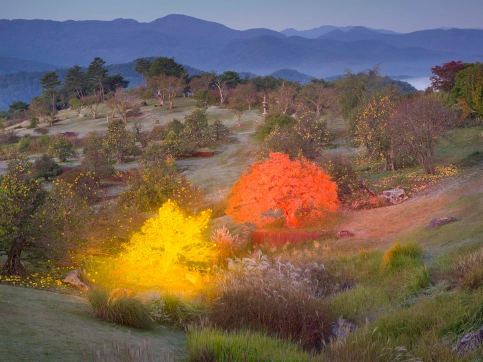 이정록 개인展 '하늘, 나무, 사람'