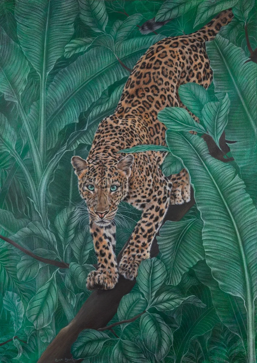 썰展 '애니·휴, 아티·휴 동물원'