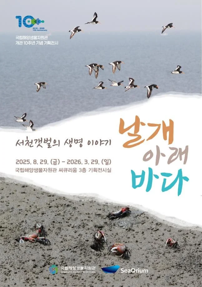 서천갯벌의 생명이야기 : 날개 아래 바다