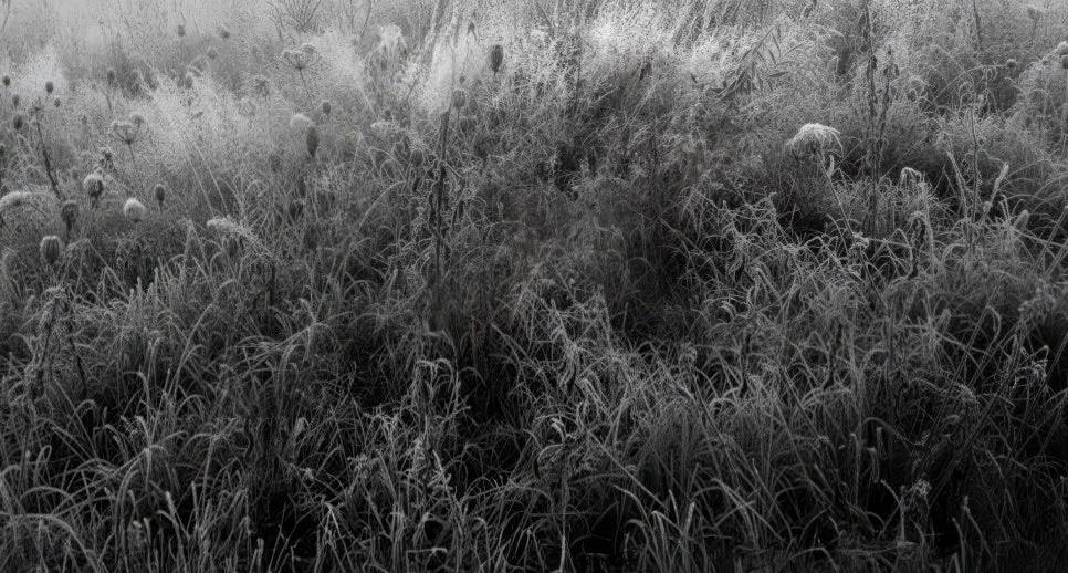 정지윤 작가 초대展 '미지의 풍경'