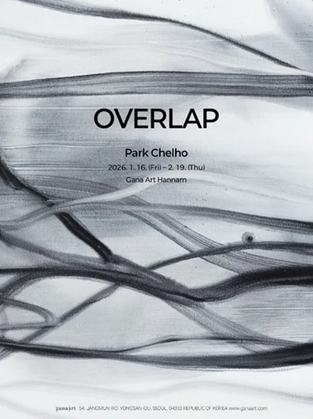 박철호 展 Overlap