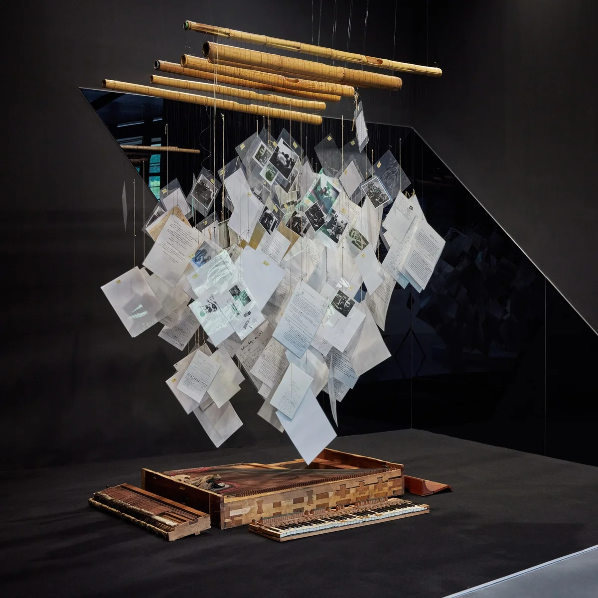 사과 씨앗 같은 것