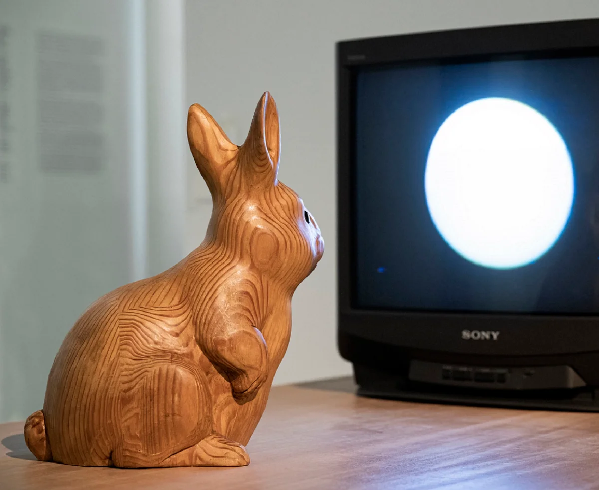 달에 사는 토끼: 시간의 거울 속 백남준의 예술