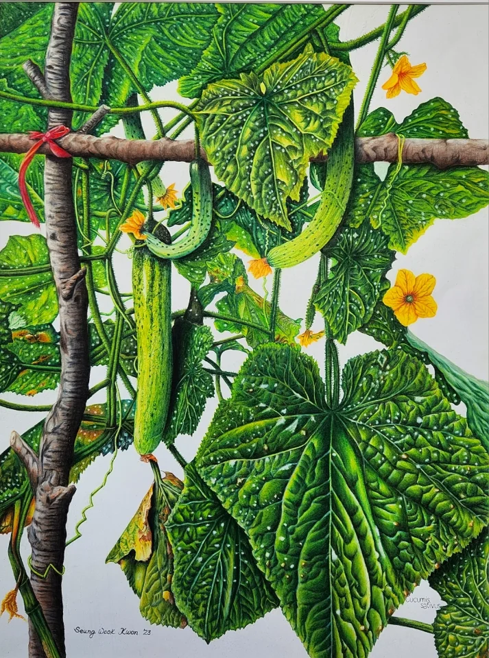 권승욱 보태니컬 아트展 '유성 색연필과 놀다'